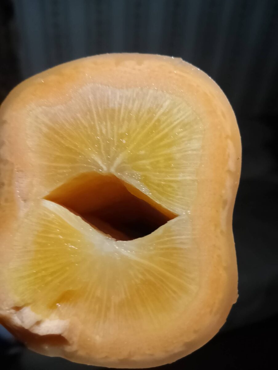 А вот так мичяуринская морковка выглядит с другой точки зрения, изнутри.