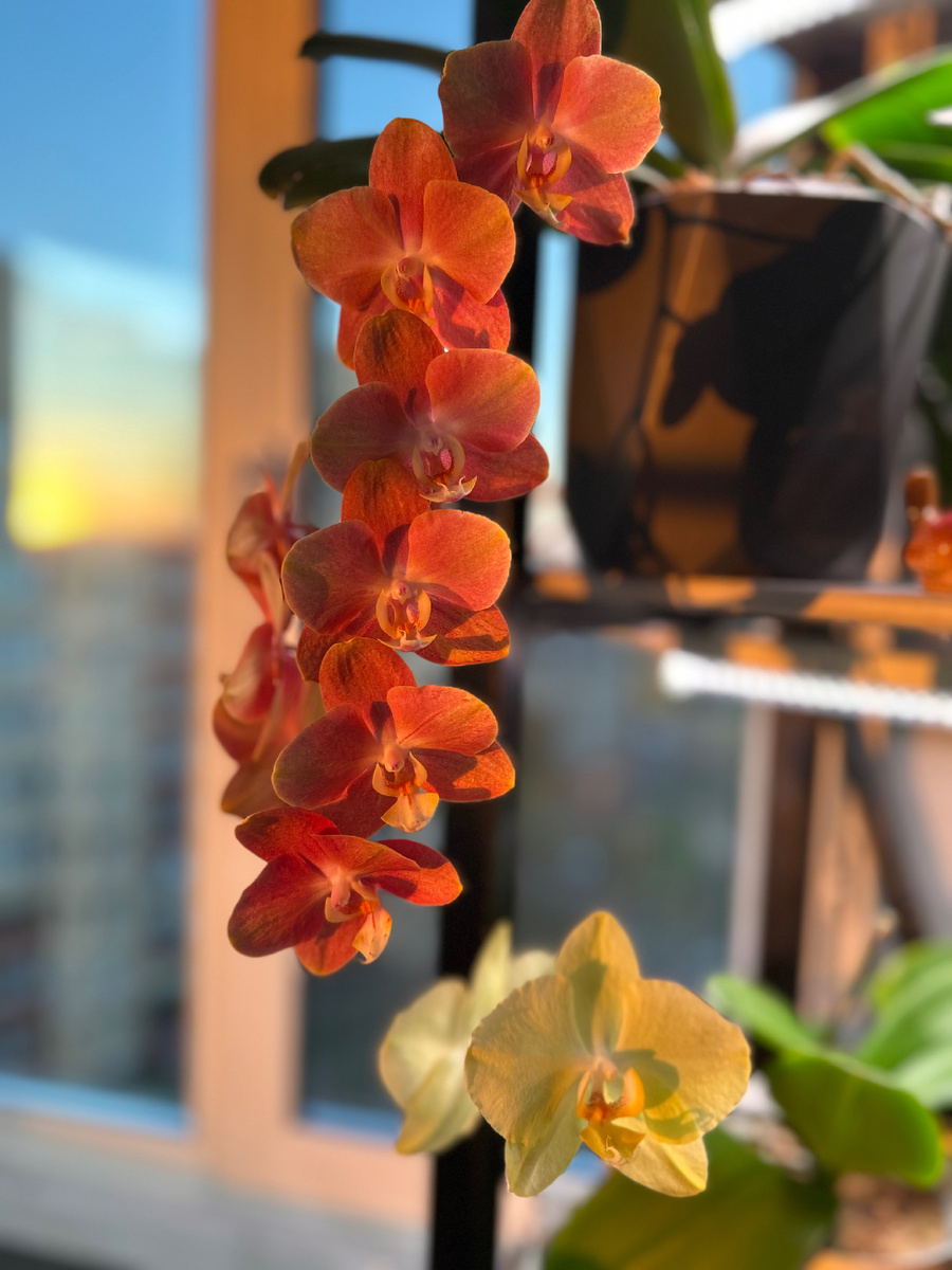 Цвета так же влияют на наше психологическое состояние.