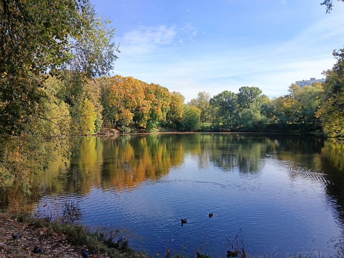 Моя осень 2025