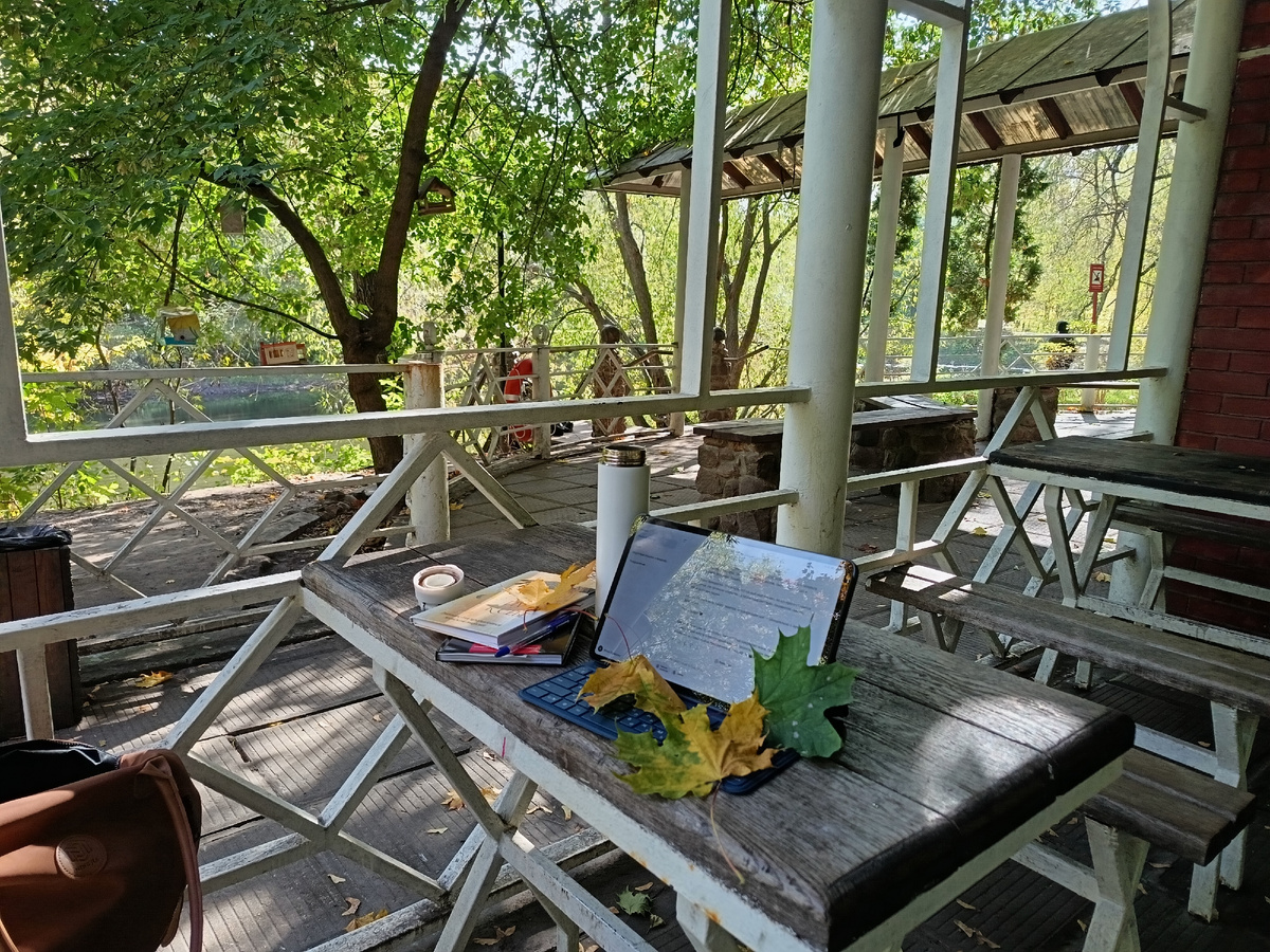 Моя осень 2025