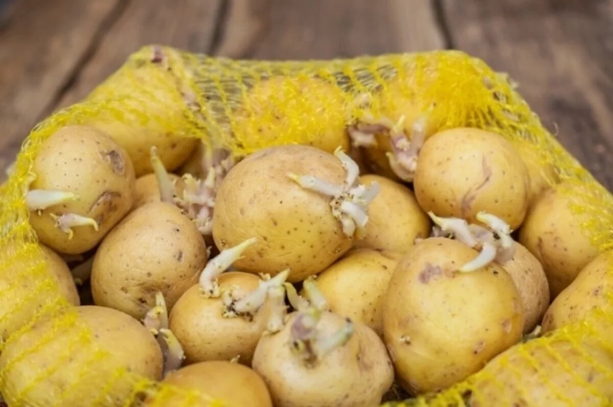    В Псковский области отменили режим ЧС из-за переувлажнения почвы