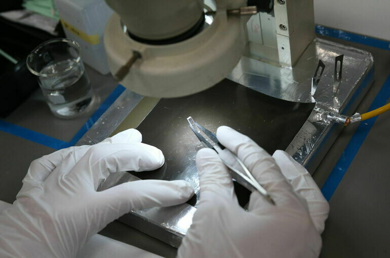   Владимир Афанасьев/ПГ