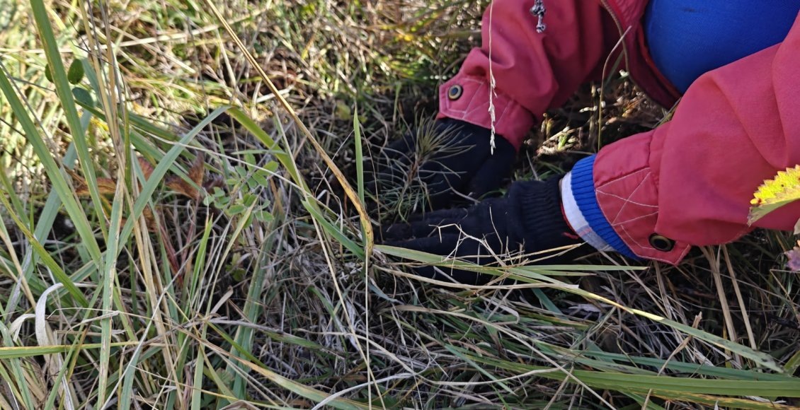    Фото: Анна Макарова/НИА "Экология"