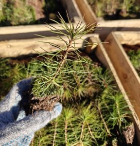    Фото: Анна Макарова/НИА «Экология»