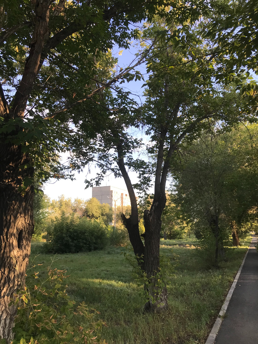 20 августа 2025 16:52