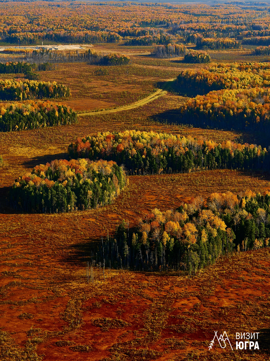 Фото: Ирина Лаптева (https://vk.com/irina.lapteva.photo)
