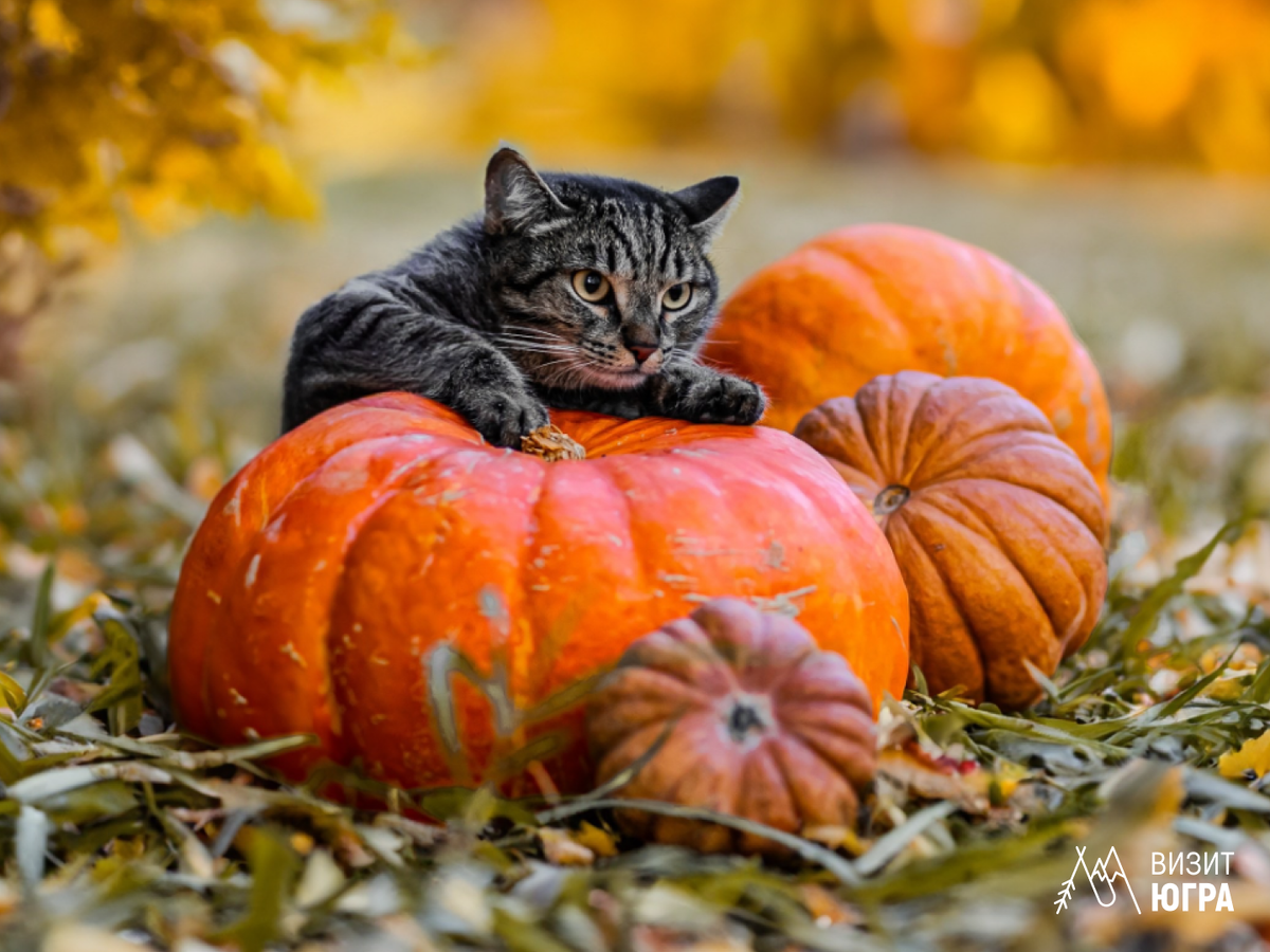 Фото: Александр Шумай