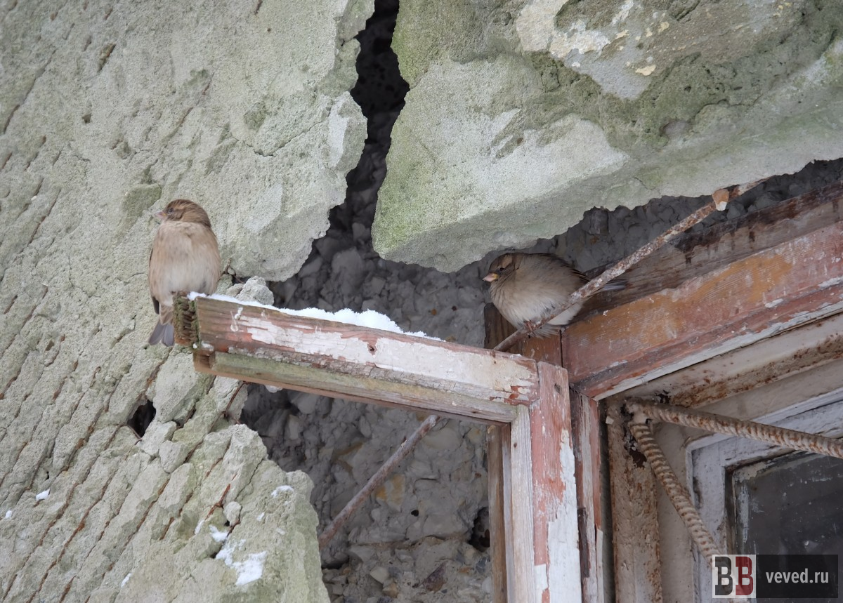     Фото: Владислав Постников / Вечерние ведомости