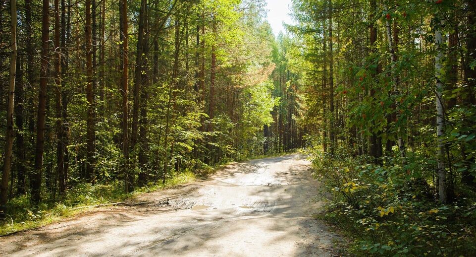    Dmitry Chasovitin/Global Look Press / www.globallookpress.com