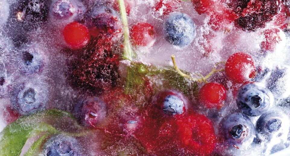    Creativ Studio Heinemann/imageBROKER.com / www.globallookpress.com