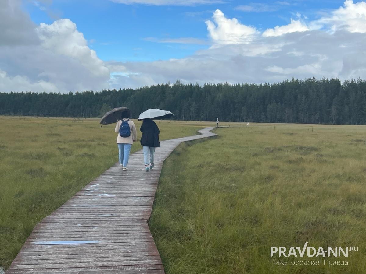    Путешествие по Санкт-Петербургу может быть и таким