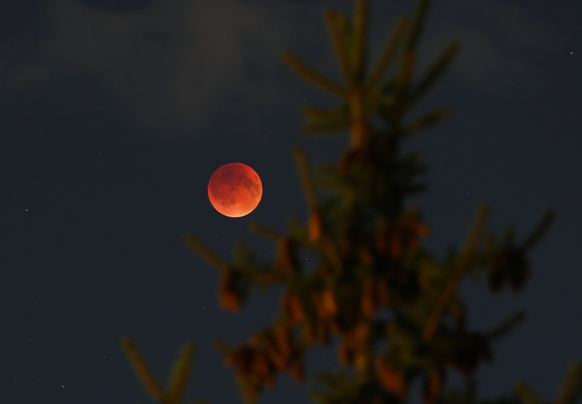 © Фото: ИД «Волгоградская правда» / архив