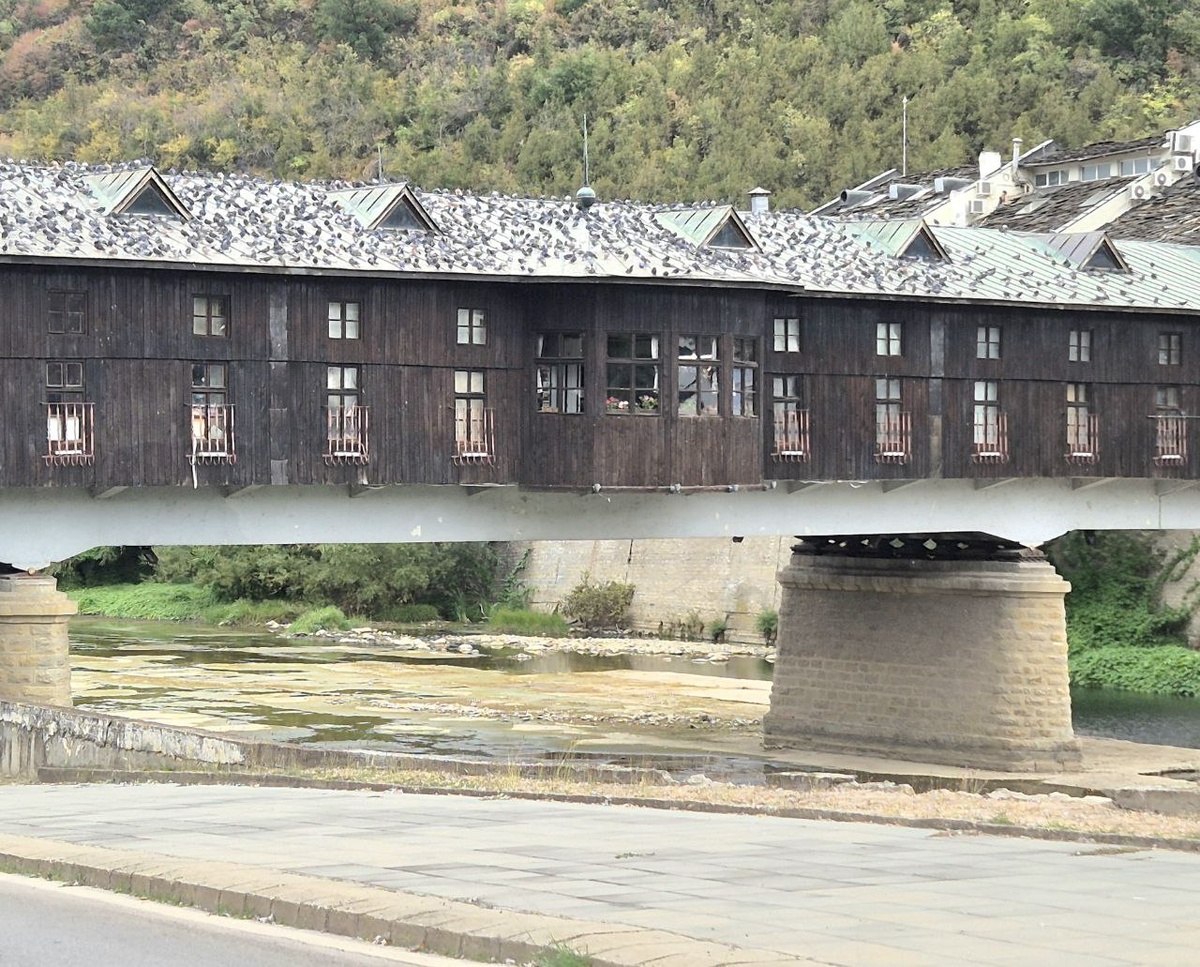 Покрытый мост