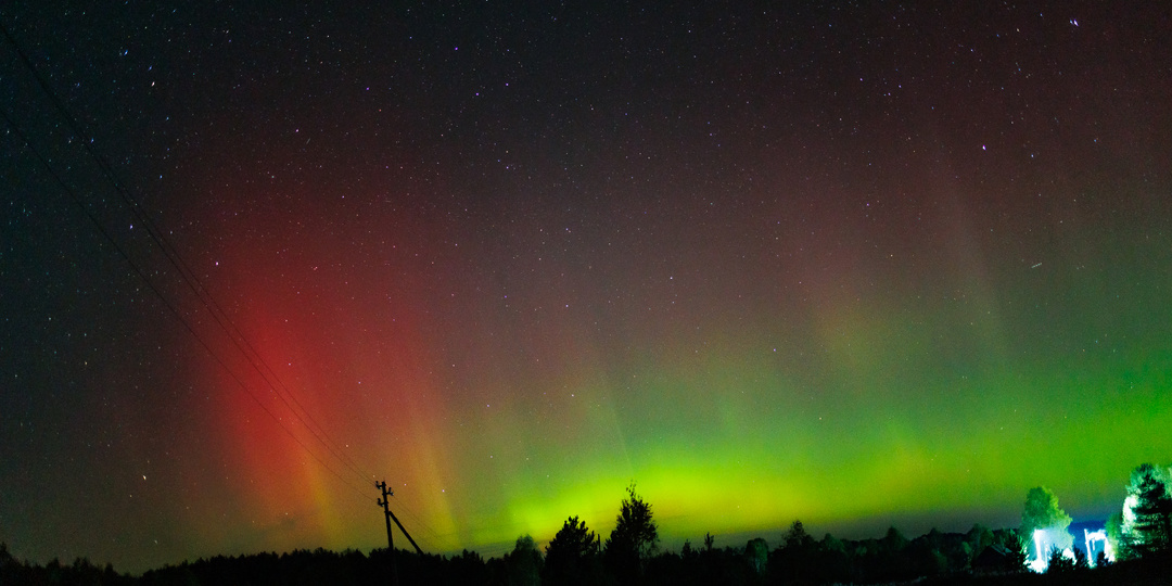 Такого я не видел никогда! Что мы видели, пока все спали?!