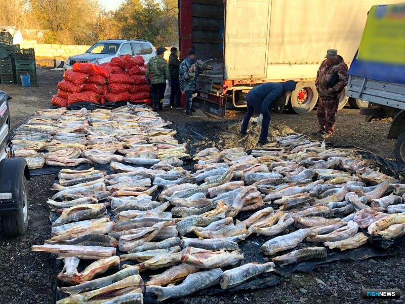 Чем более ценен ресурс, тем больше желающих поиметь с него денег неправомерным путем... 