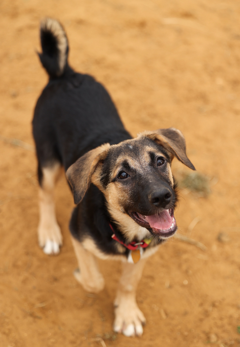 Ну вы даете!