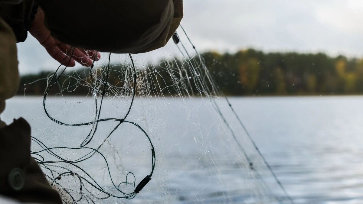    Фото: Ahaltekin4ik/Shutterstock/Fotodom