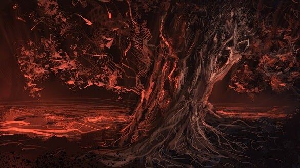 фото из интернета