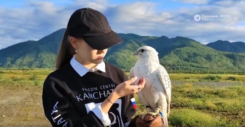 Фото телеграм-канала губернатора Камчатского края Владимира Солодова