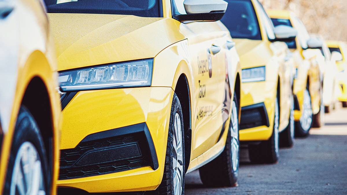    Фото: Shutterstock