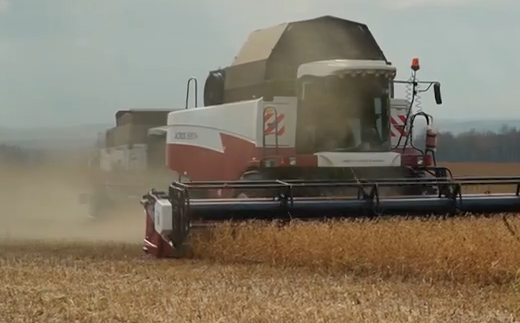     В Курагинском округе аграрии приступили к уборке сои