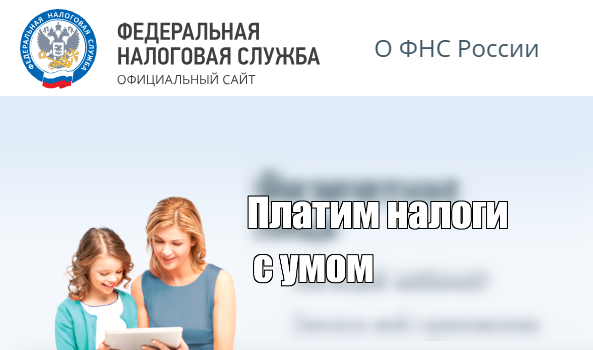 Скриншот с официального сайта ФНС России, немного изменённый под название статьи о кэшбэке по налогам.