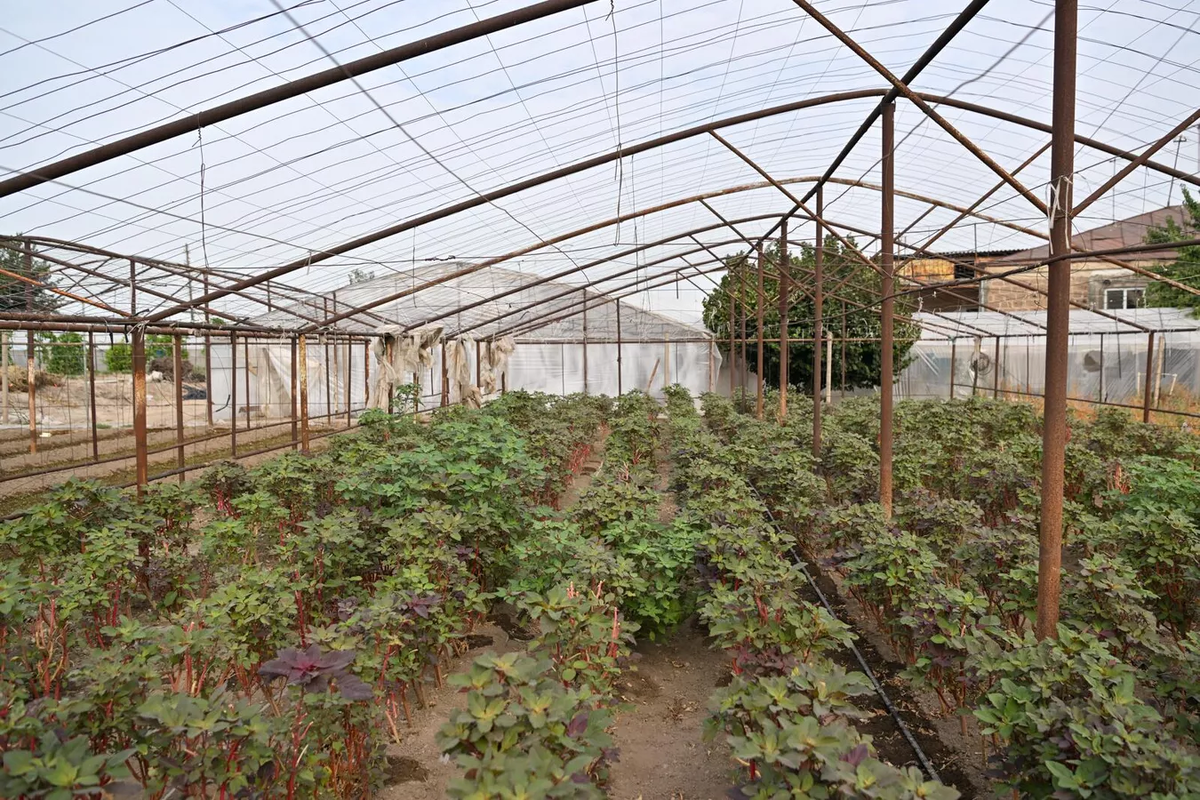 © Sputnik / Aram Nersesyan