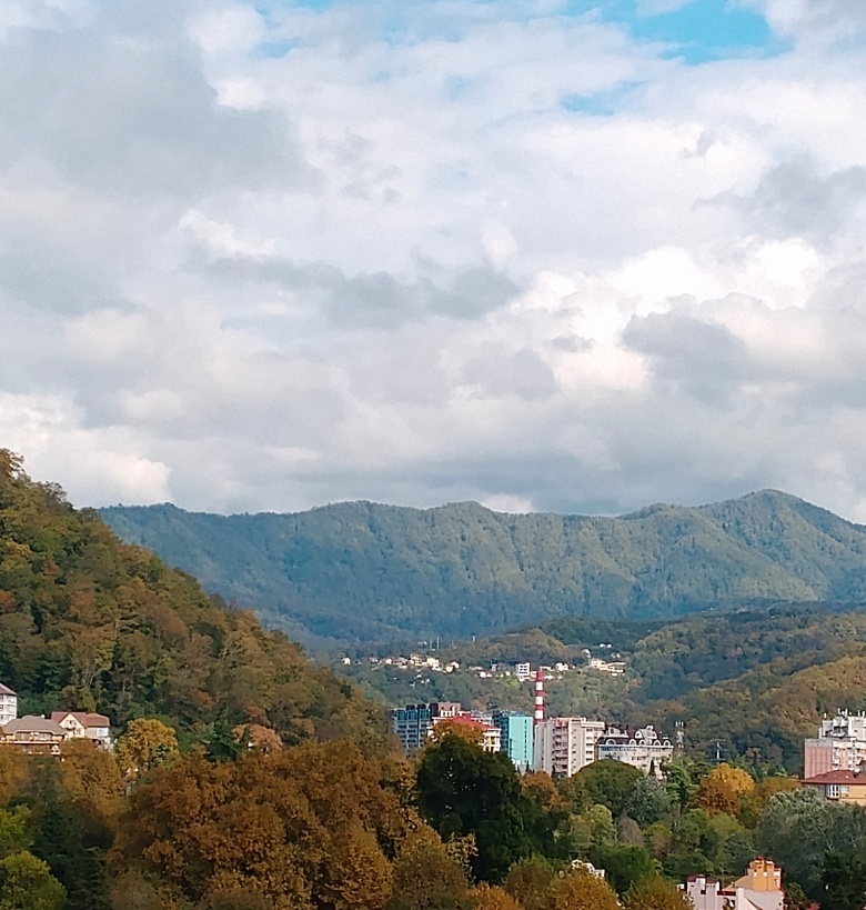 Вид из окна