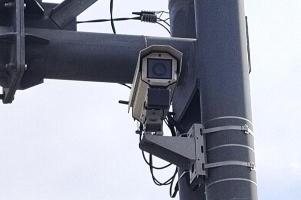    Фото сайта правительства РО Светлана Журавка