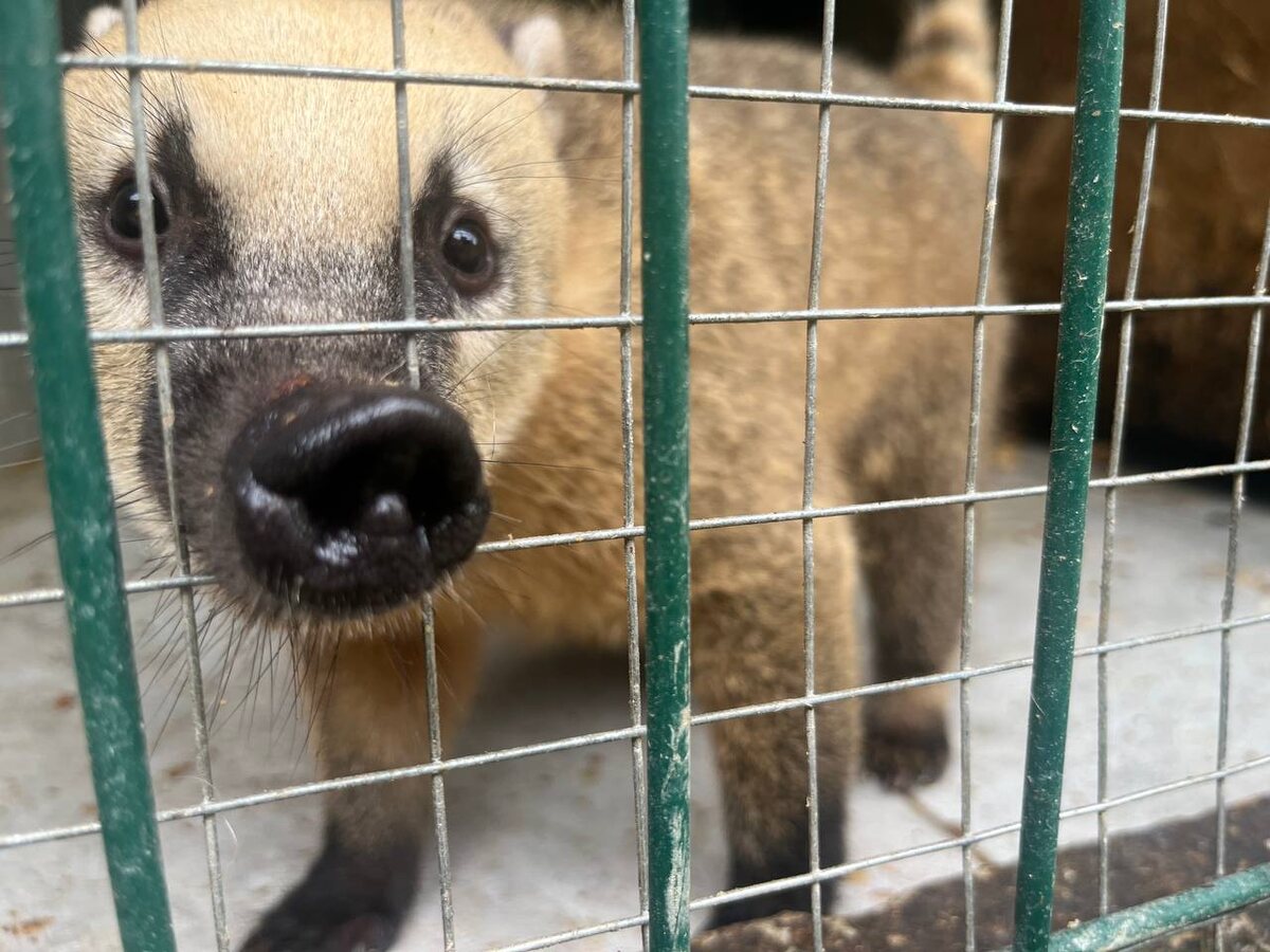    Фото t.me/sochigeograf