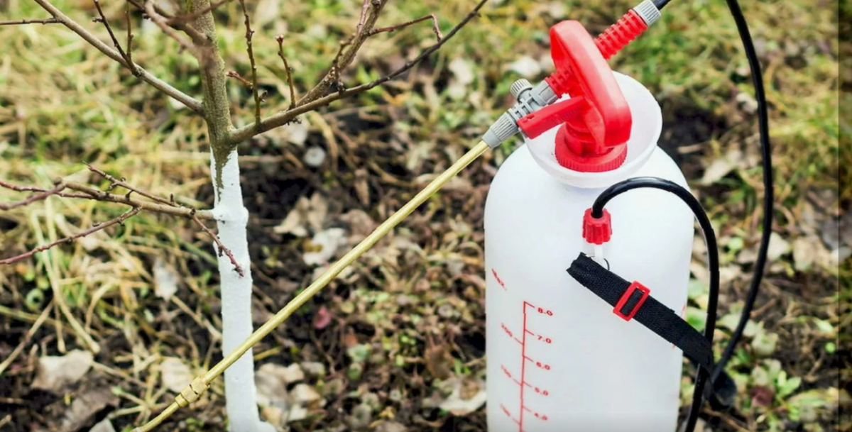 обработка сада осенью