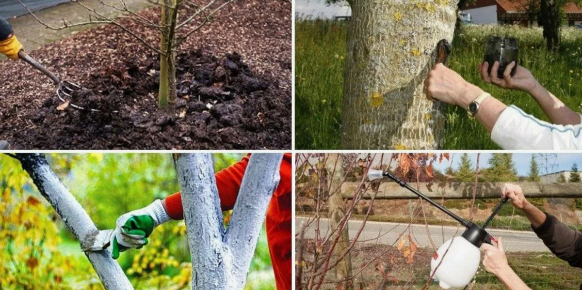 Дополнительные меры: не только опрыскивание!