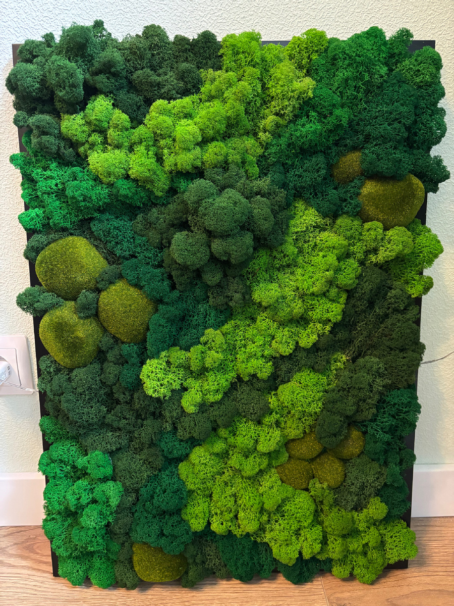 Вот моя красота