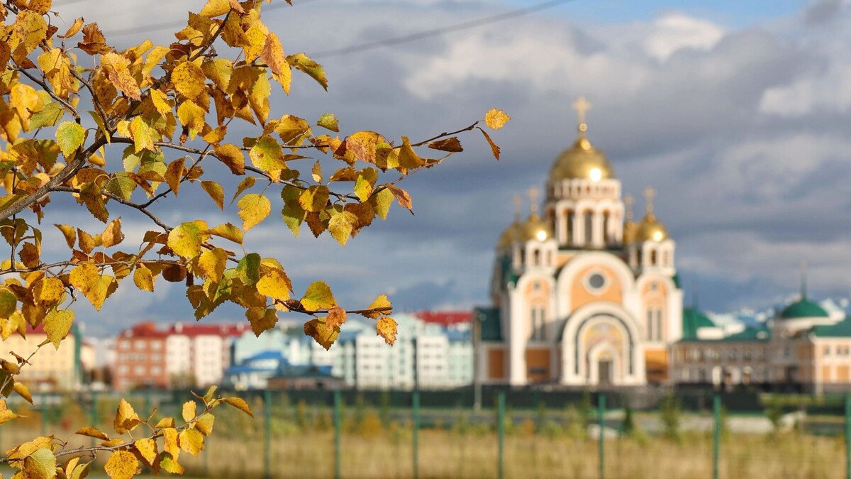    Фото: Андрей Ткачев/«Ямал-Медиа»