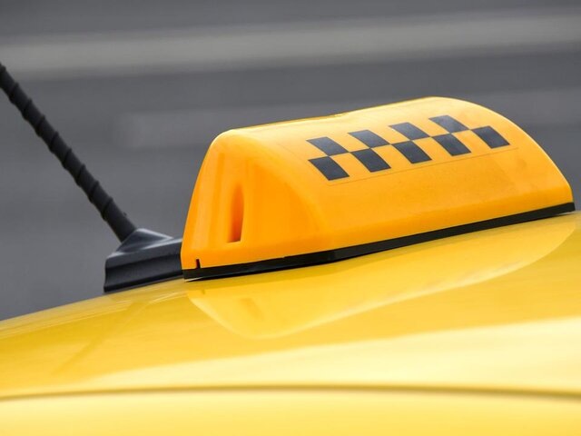    Фото: Москва 24/Антон Великжанин