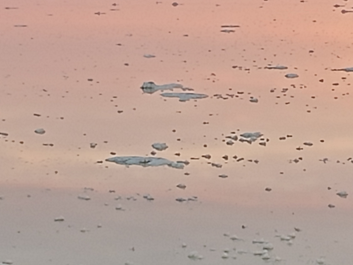 Солёное озеро Эльтон. Фото автора