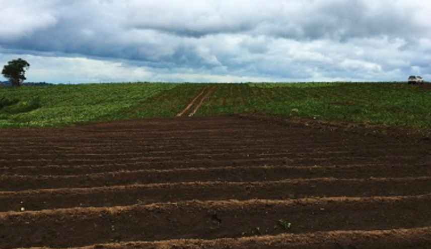    фото: freepik.com Редактор