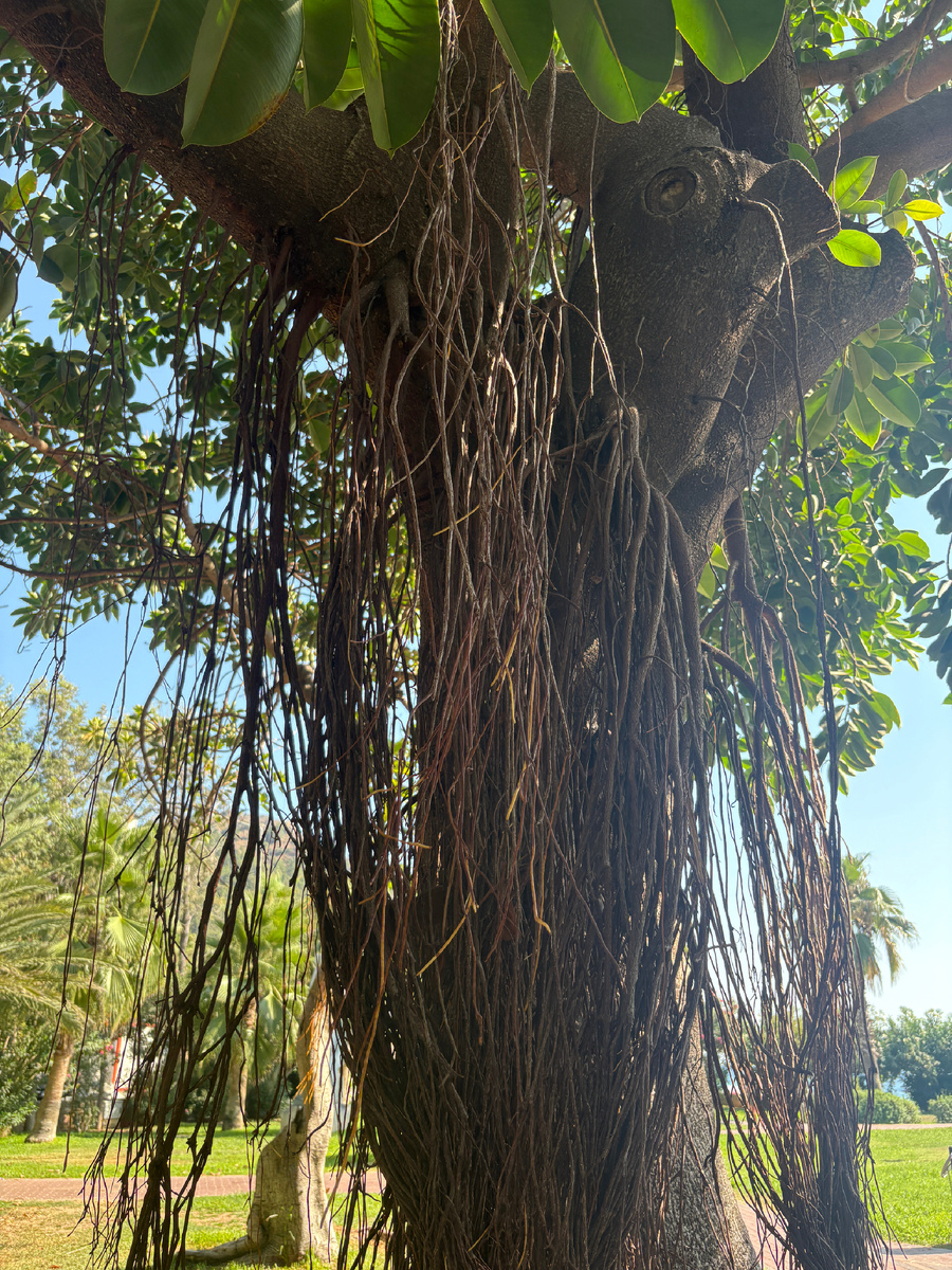 Фото из личного архива