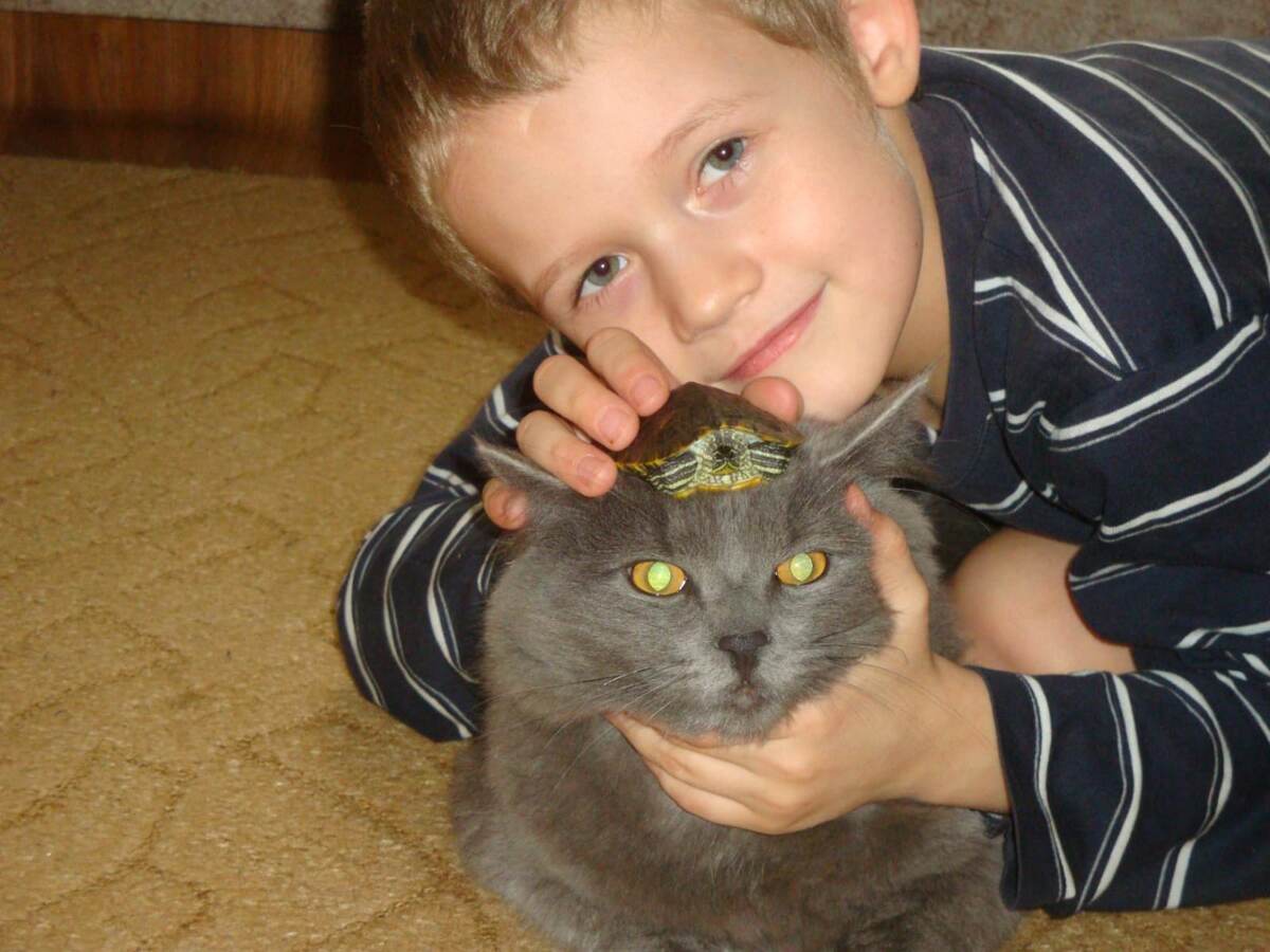 Фото: Т. Александрова. Кот Гром в подобной шалости еще не был замечен. 