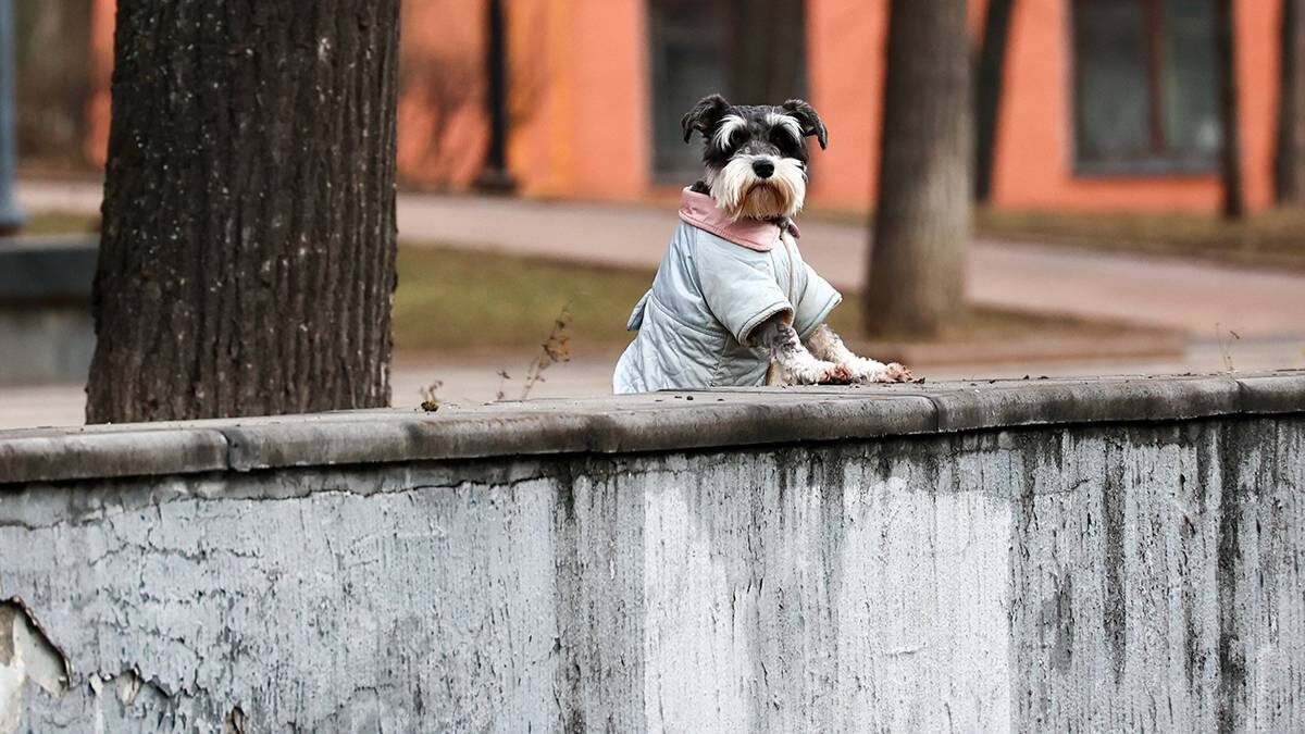    Фото: Ярослав Чингаев / АГН Москва