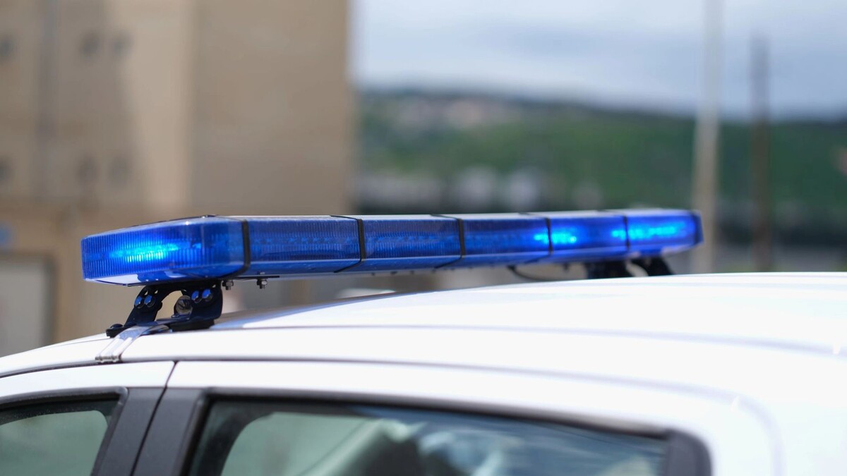    Фото: H_Ko/Shutterstock/Fotodom