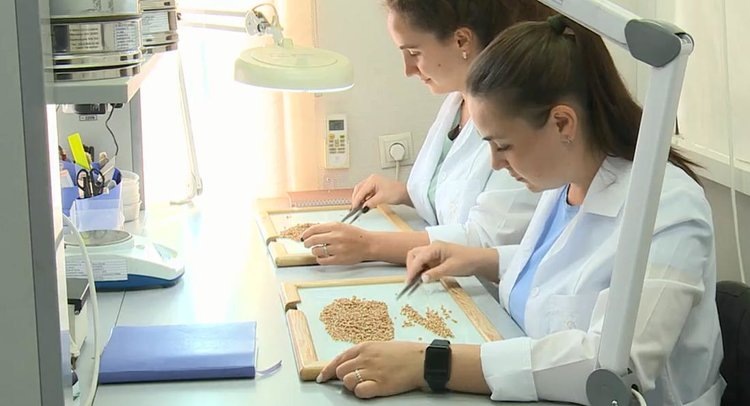    Фото: ФГБУ ЦОК АПК