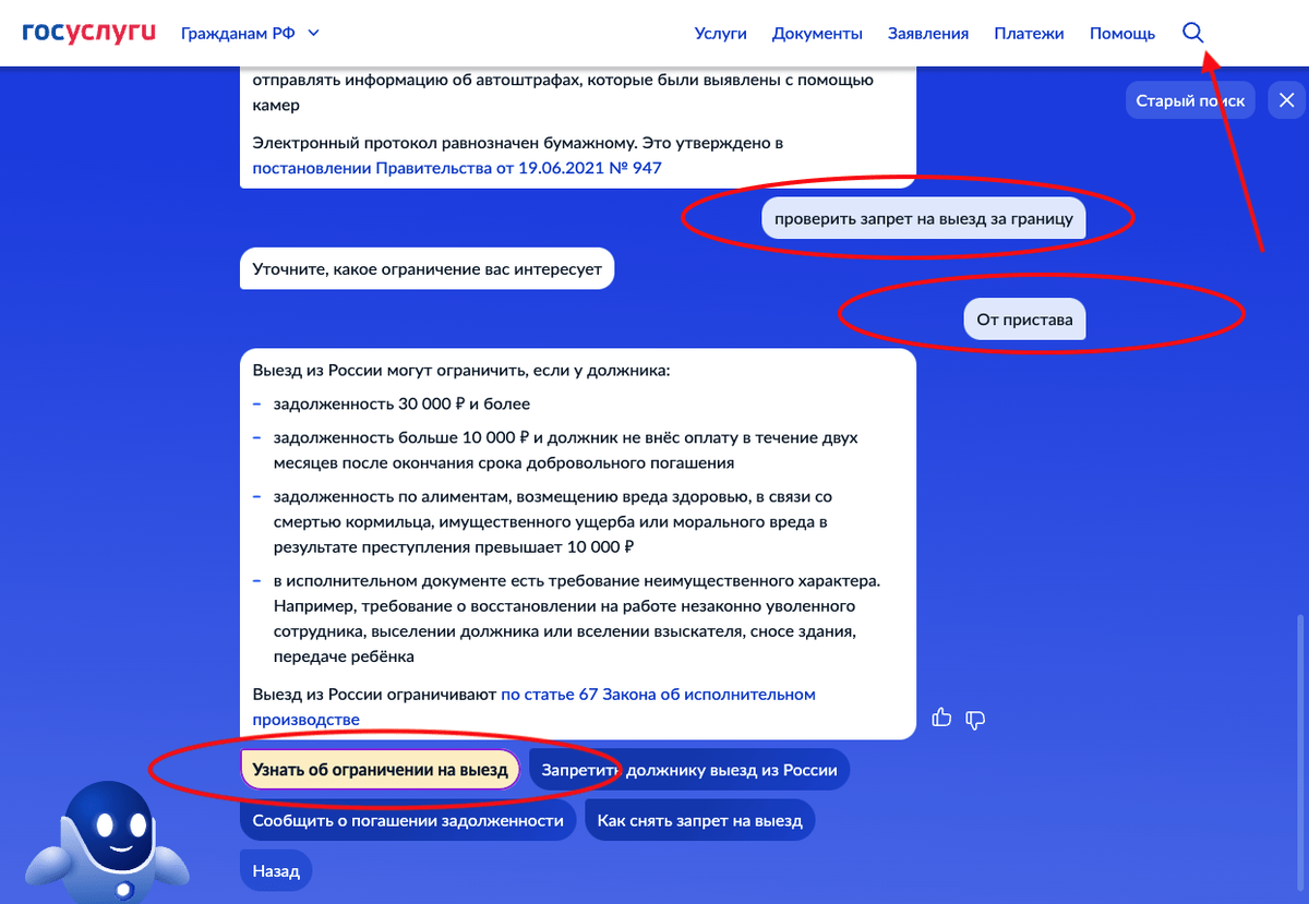 Узнать запрет на госуслугах
