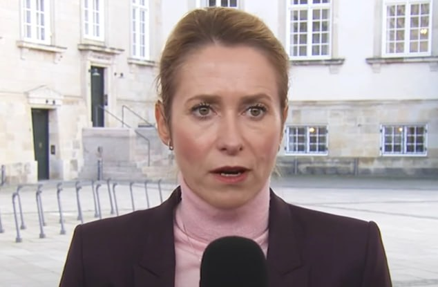 Фото: Prt Scr youtube.com / EU Debates