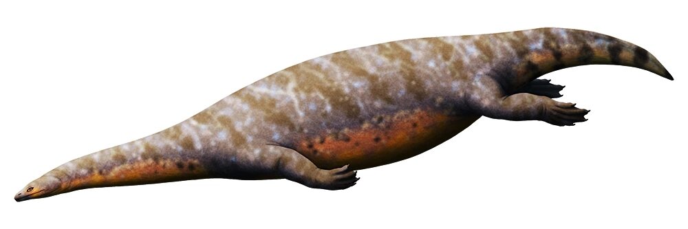 Как например этот панчжоузавр.