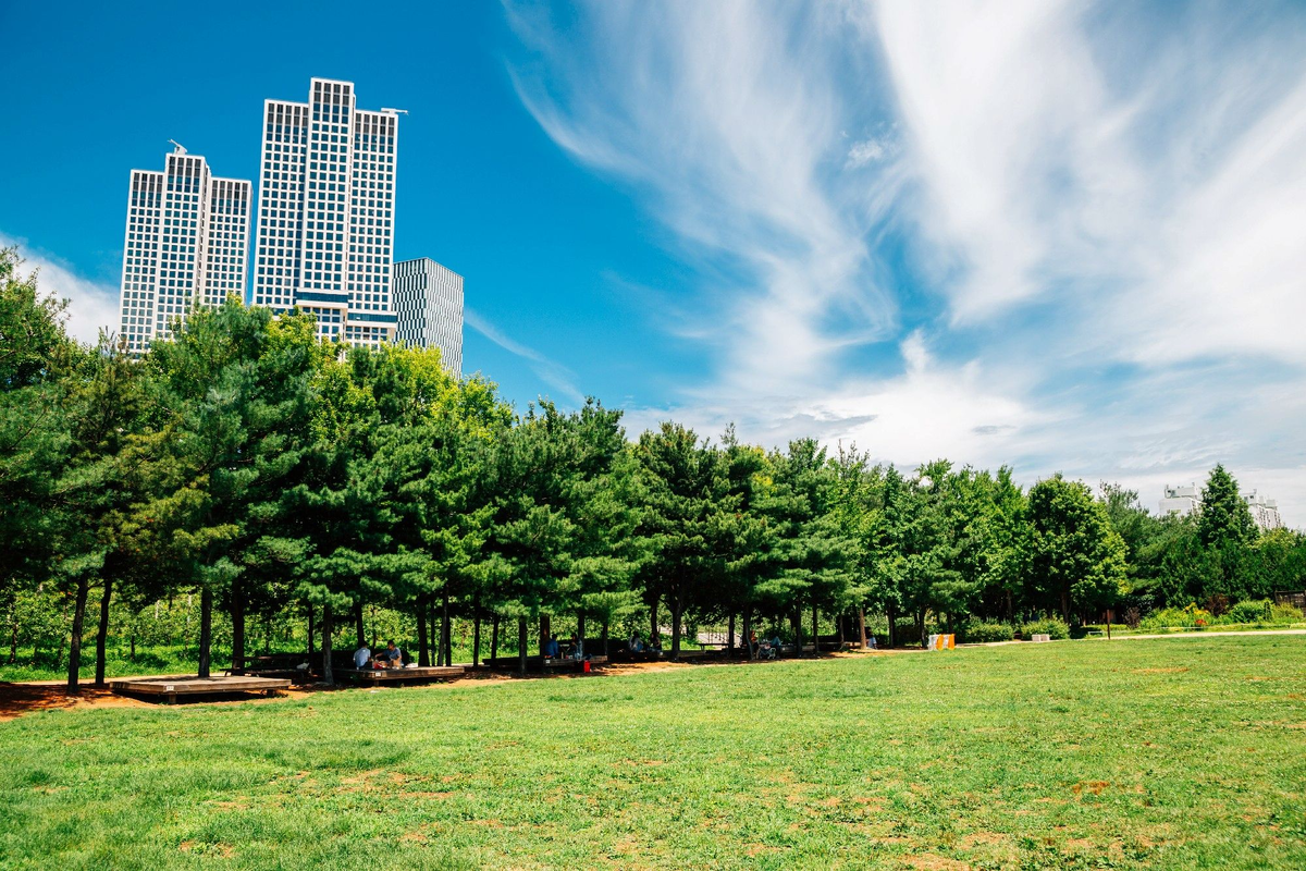 Сеульский лес