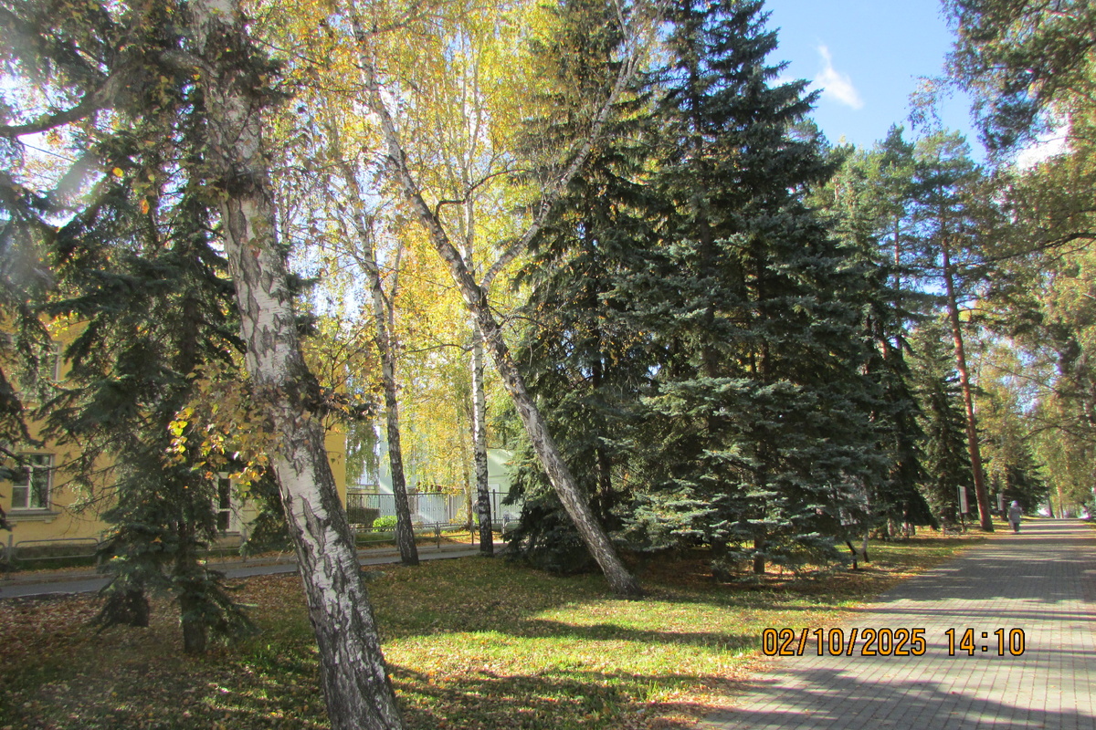 Озёрск. Проспект Ленина. Фото Автора