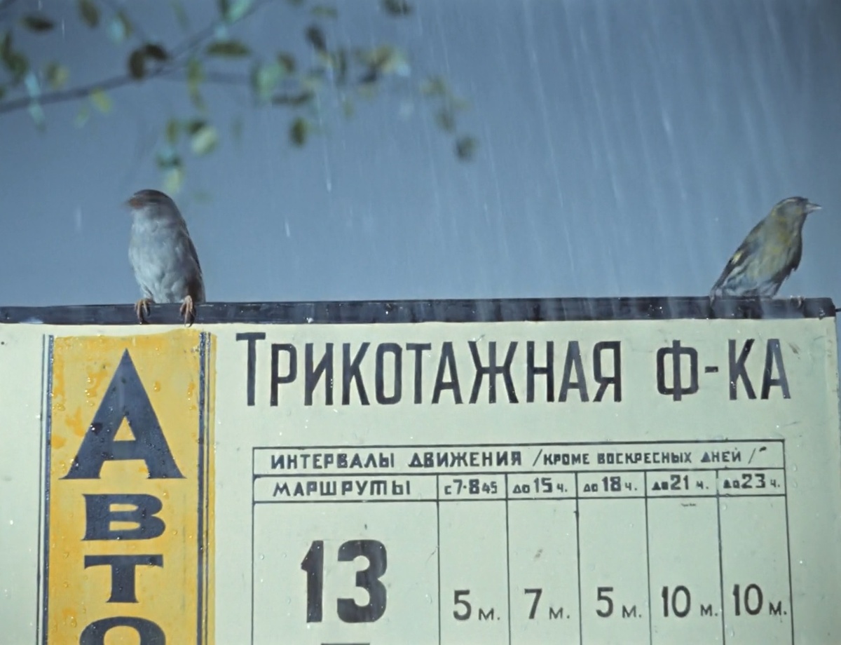 1. Первый вопрос - угадайте по описанию и кадру из фильма!