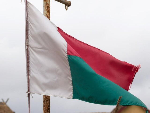    Фото: 123RF/michaklootwijk