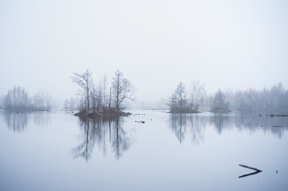    Медиасток.рф